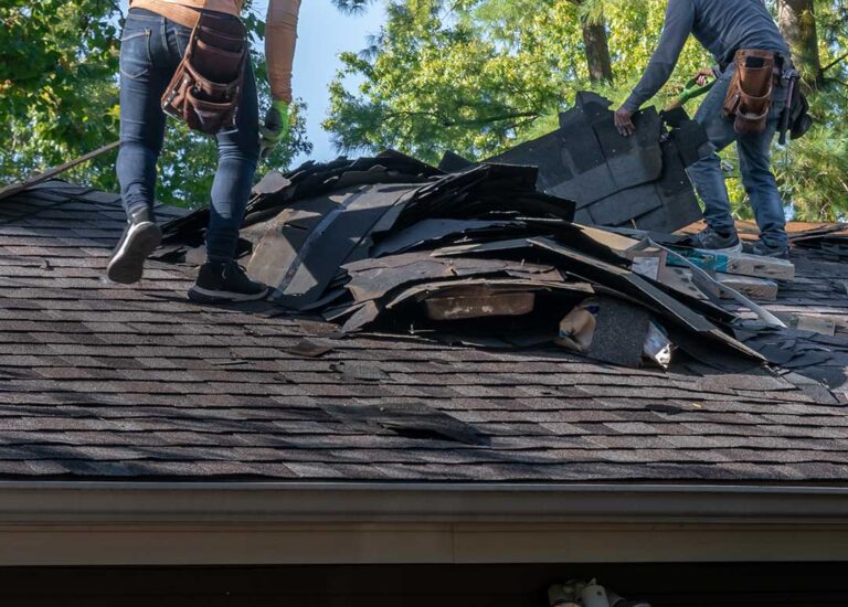 Homeowner checks gutters and roof edges from the ground before leaving for vacation.